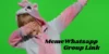 Join Active Meme WhatsApp Group – Groups Links for Daily Memes and Fun - Post Thumbnail